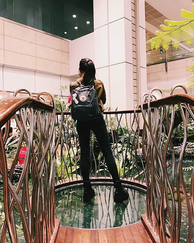 15625487_173131903161865_553121706743431168_n1