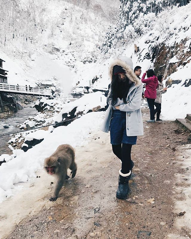 15876242_1799838210265716_920952069001576448_n