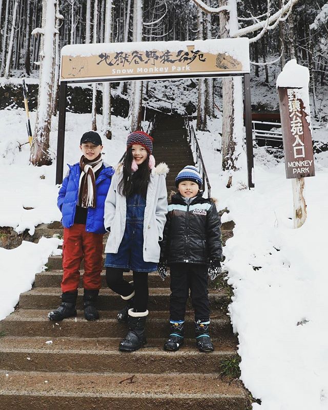 16110959_1836164543322879_7672685940153778176_n